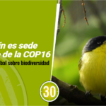 Medellín es sede satélite de la COP16, la cumbre global sobre biodiversidad