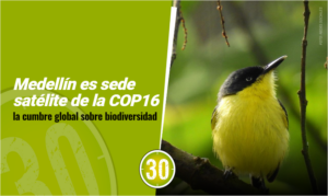 Medellín es sede satélite de la COP16, la cumbre global sobre biodiversidad