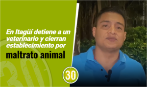 En Itagüí detiene a un veterinario y cierran establecimiento por maltrato animal