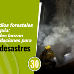 33 incendios forestales en Antioquia: autoridades lanzan recomendaciones para evitar desastres 