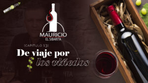 De viaje por los Viñedos